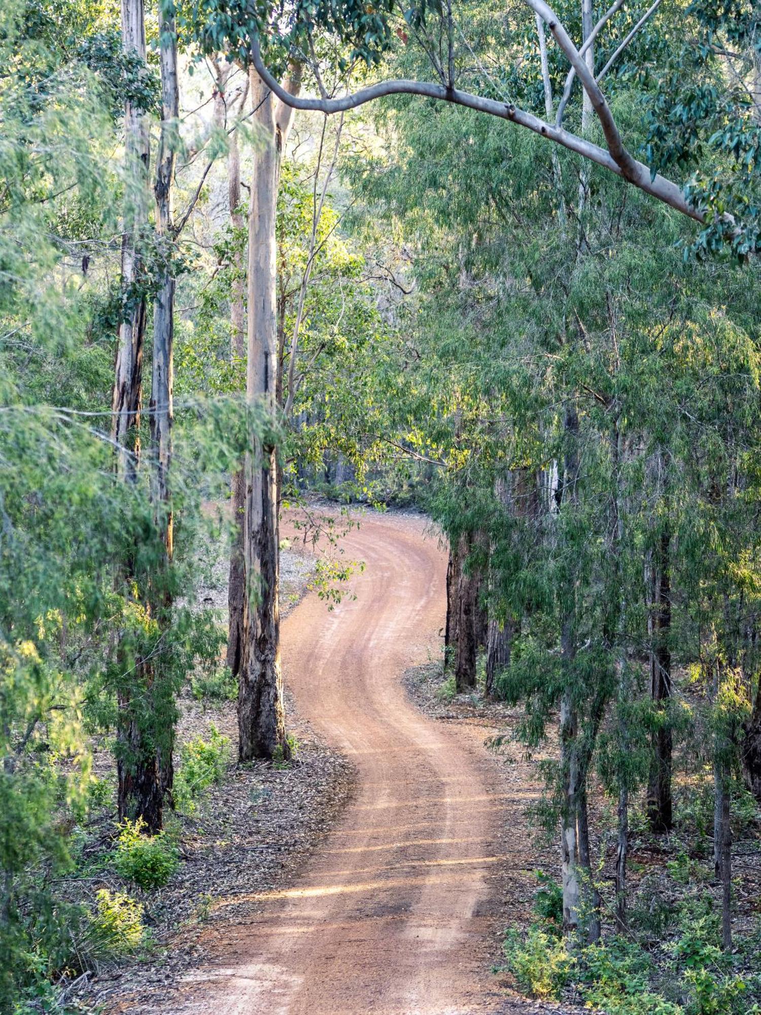 Jarrah Grove Forest Retreat - Adults Only Luxury Chalet Rosa Glen Екстер'єр фото