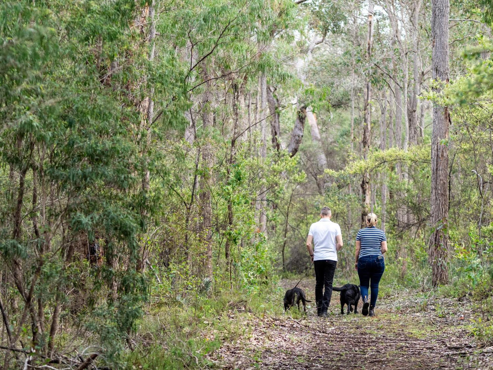Jarrah Grove Forest Retreat - Adults Only Luxury Chalet Rosa Glen Екстер'єр фото