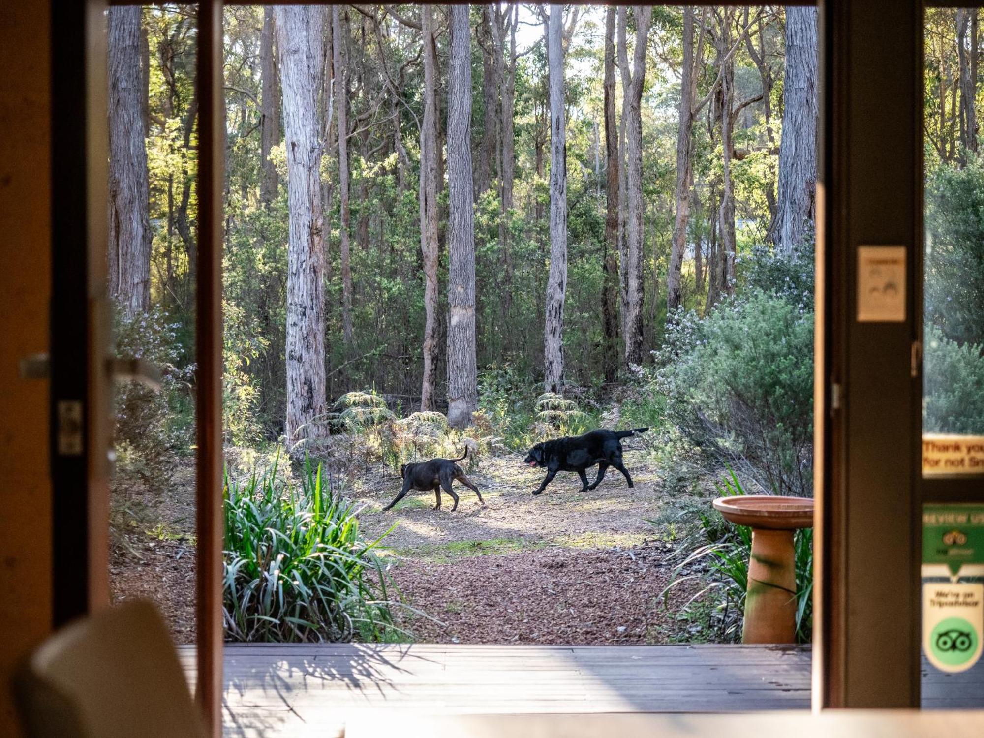 Jarrah Grove Forest Retreat - Adults Only Luxury Chalet Rosa Glen Екстер'єр фото